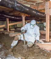 Crawl space cleaning and debris removal