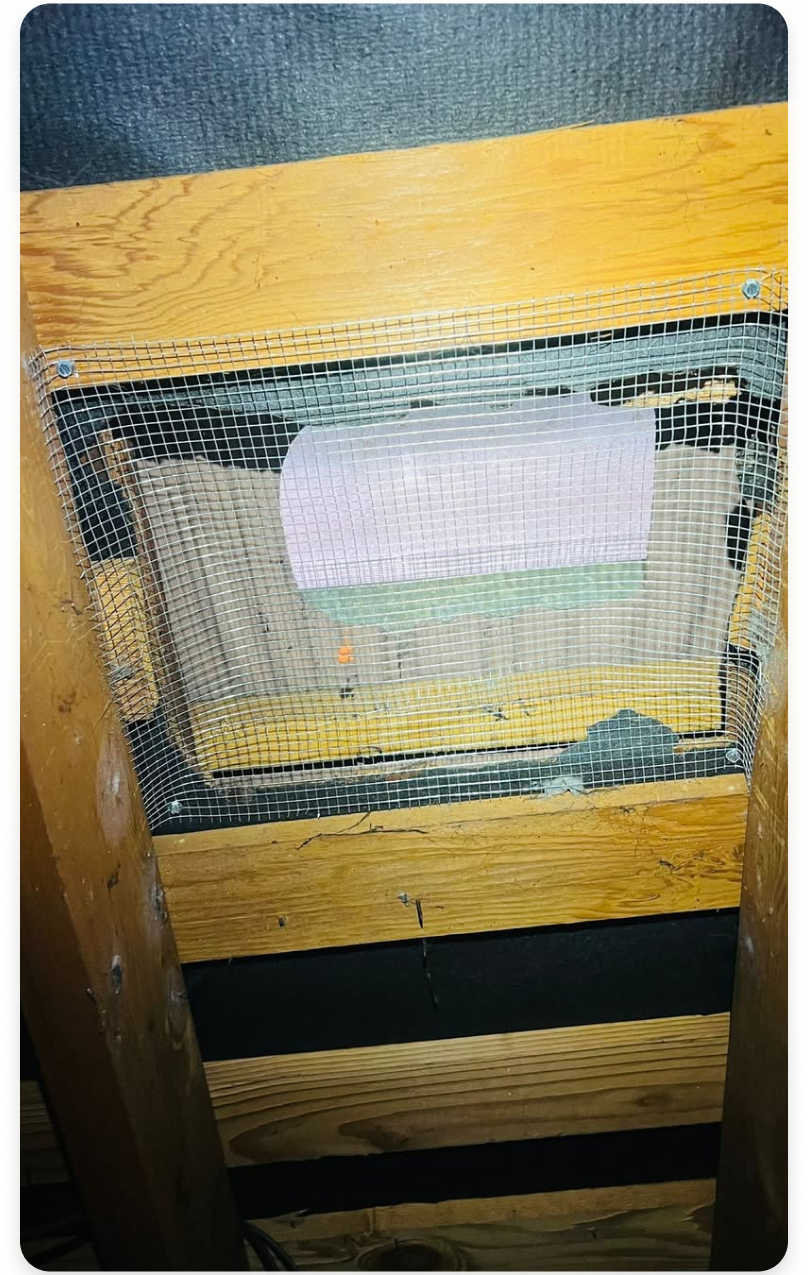 Galvanized steel mesh installed over an attic vent to block rodents